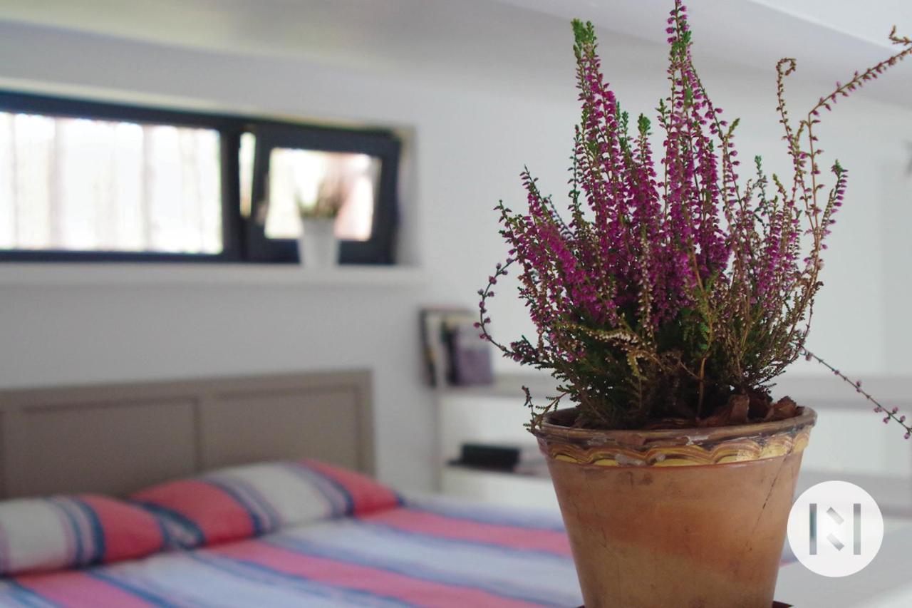 Rabarberi Lv Just 15Min Walk To Seaside Hotel Saulkrasti Ngoại thất bức ảnh