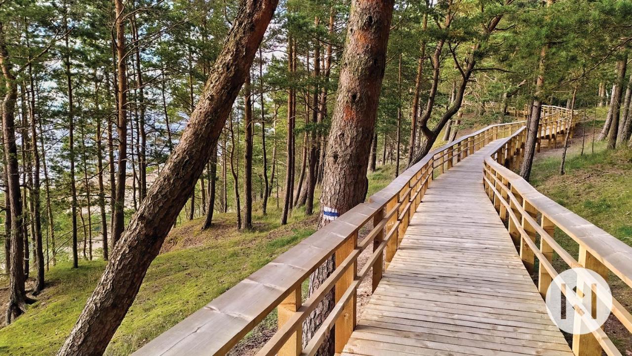 Rabarberi Lv Just 15Min Walk To Seaside Hotel Saulkrasti Ngoại thất bức ảnh